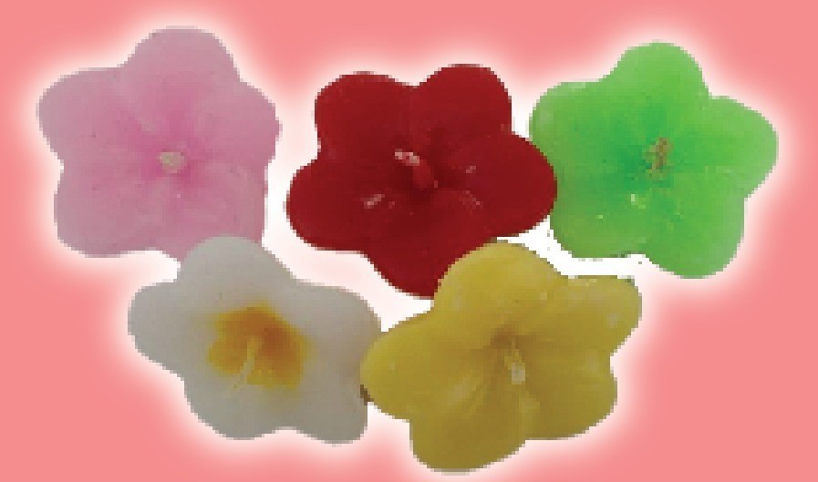 Floating Candle Araliya Flower Shape (S) Size, 10 pieses