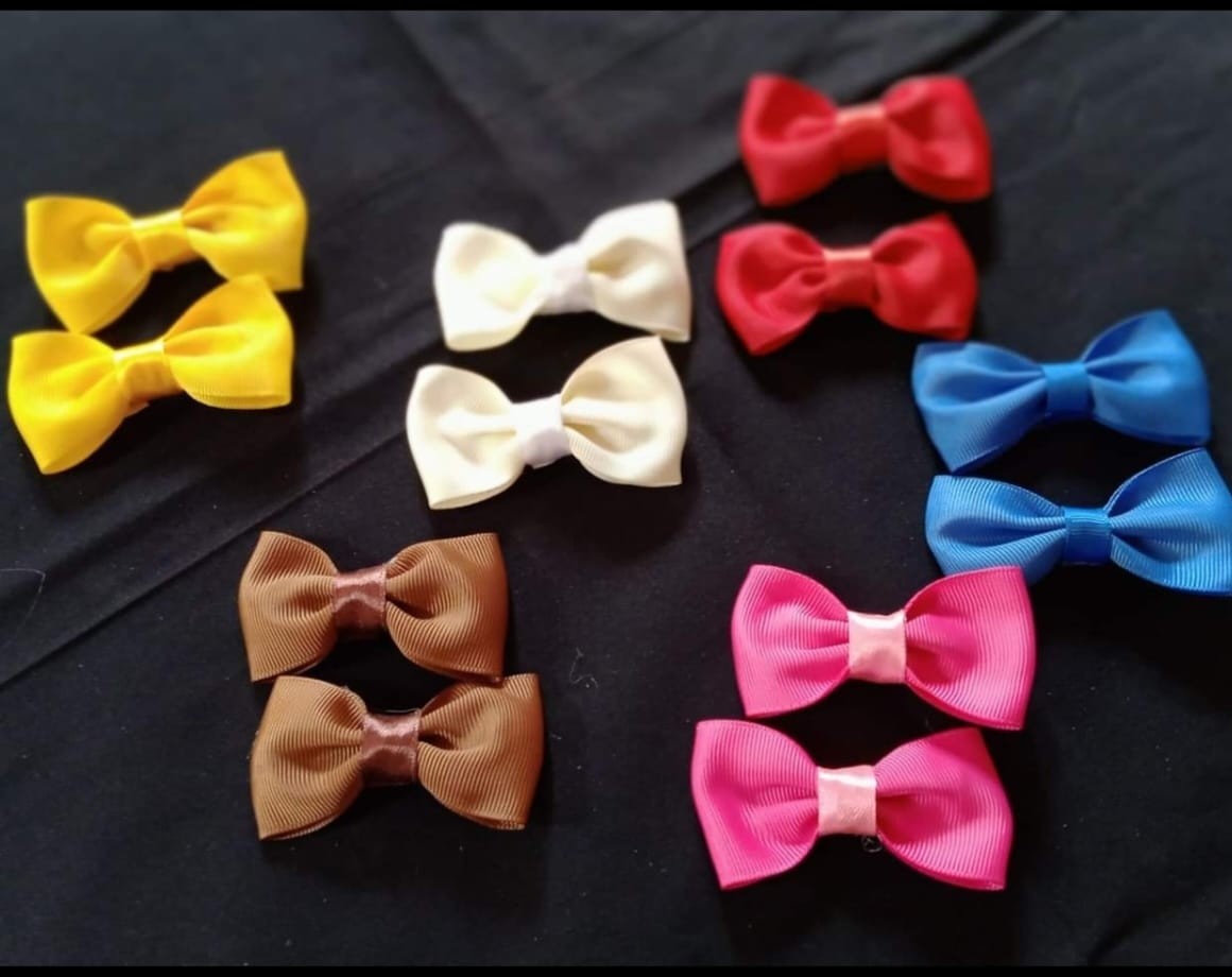 Normal Hair Clips With Bow Design 2 Pcs