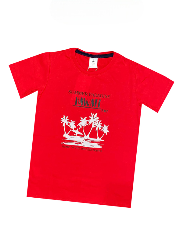 Hawaii Kids T Shirts