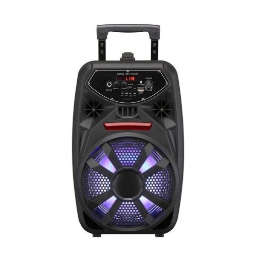 Rechargeable Bluetooth Trolley Speaker With Wireless mic