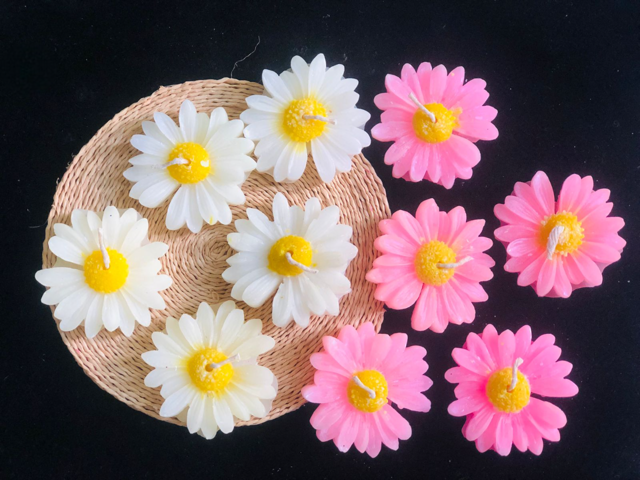 scented daisy flower candle